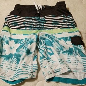 Men's Speedo trunks LG